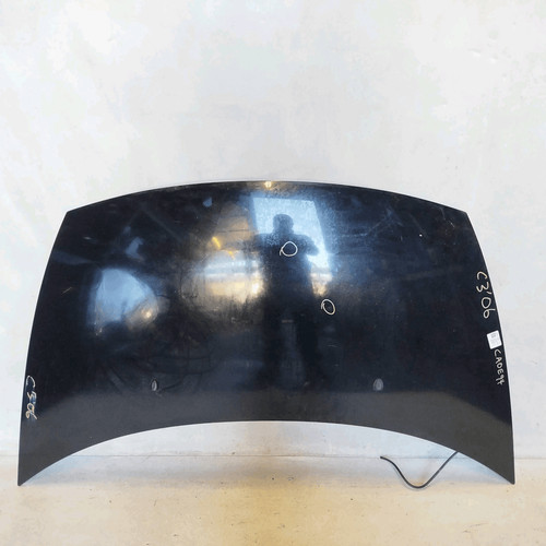 7901n0 cofano ant citroen - ant.,