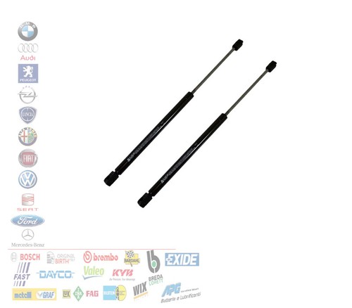 Coppia molla gas cofano - coppia, 2