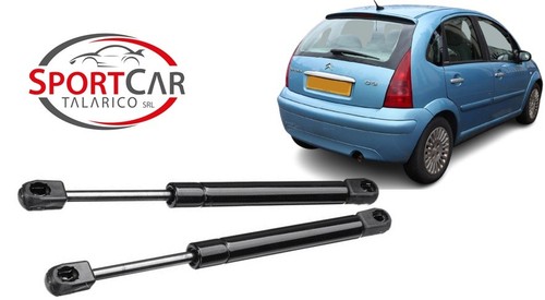 Coppia molle gas pistoncini - a,